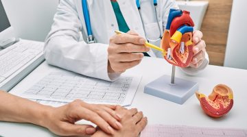 Cardiology,Consultation,,Treatment,Of,Heart,Disease.,Doctor,Cardiologist,While,Consultation Cardiology consultation, treatment of heart disease. Doctor cardiologist while consultation showing anatomical model of human heart